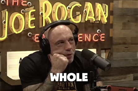 the joe rogan podcast (208,000+ views)